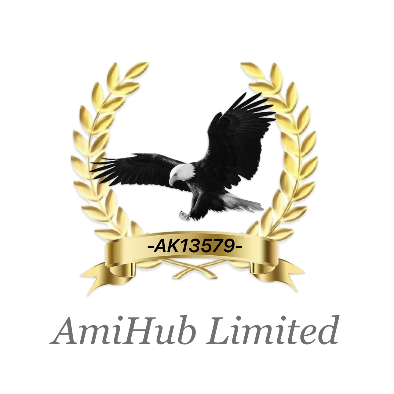 AmiHub Limited